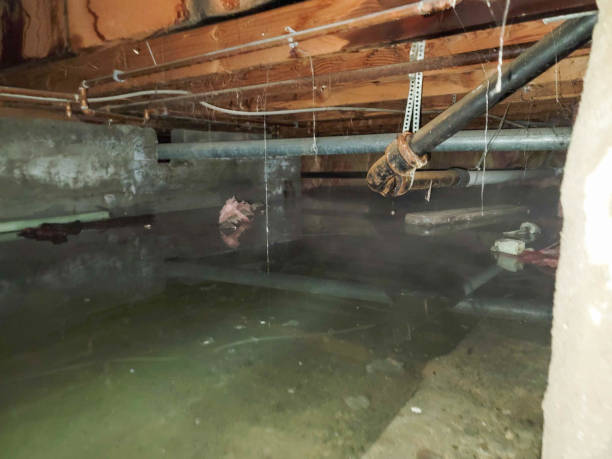 Best Water damage restoration near me  in Mount Washington, KY