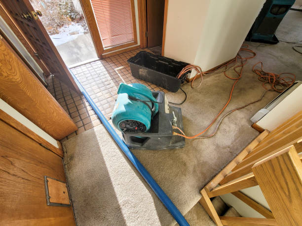 Best Flood restoration services  in Mount Washington, KY