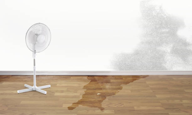 Best 24-hour water damage restoration  in Mount Washington, KY
