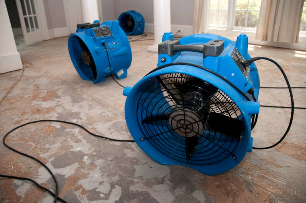 Best Local water damage restoration  in Mount Washington, KY