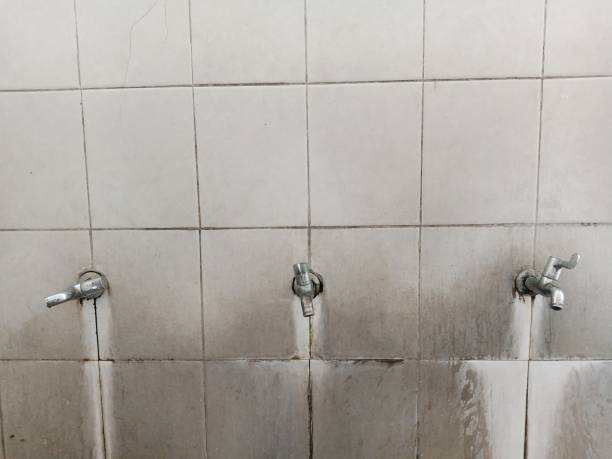 Best Local water damage restoration  in Mount Washington, KY