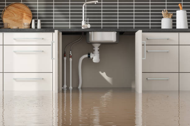 Best Water damage mitigation services  in Mount Washington, KY