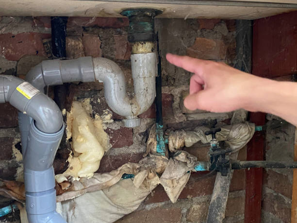 Best Water damage cleanup near me  in Mount Washington, KY